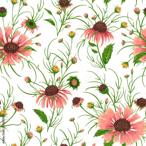 Seamless pattern with chamomile flowers. Rustic floral background. Vintage vector botanical illustration in watercolor style.