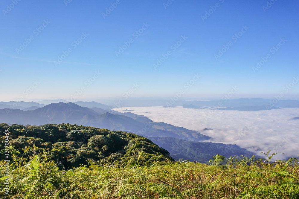 Blue sky at Inthanon mountain Northern Thailand