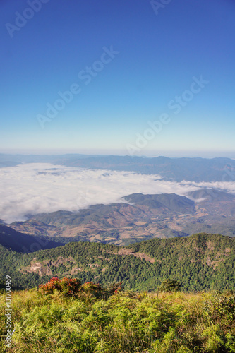 Blue sky at Inthanon mountain Northern Thailand