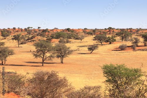Kalahari Namibia © jefwod