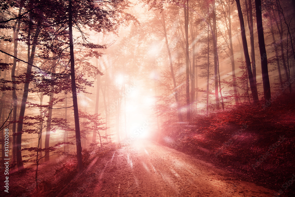 Fototapeta premium Artistic bright forest road with firefly lights background. Magic red colored woodland fairy tale.