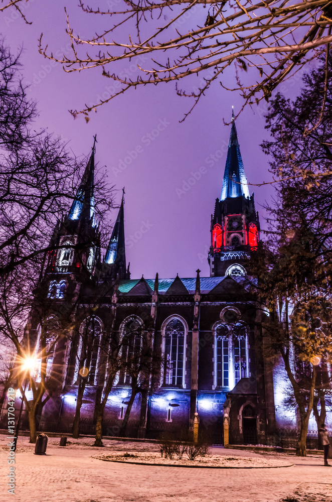 Naklejka premium Neo Gothic style cathedral