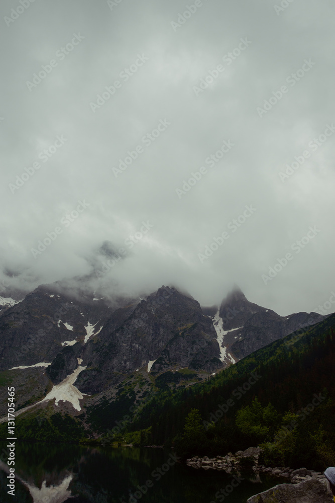 Foggy mountain in summer morning Foggy mountain in summer morning