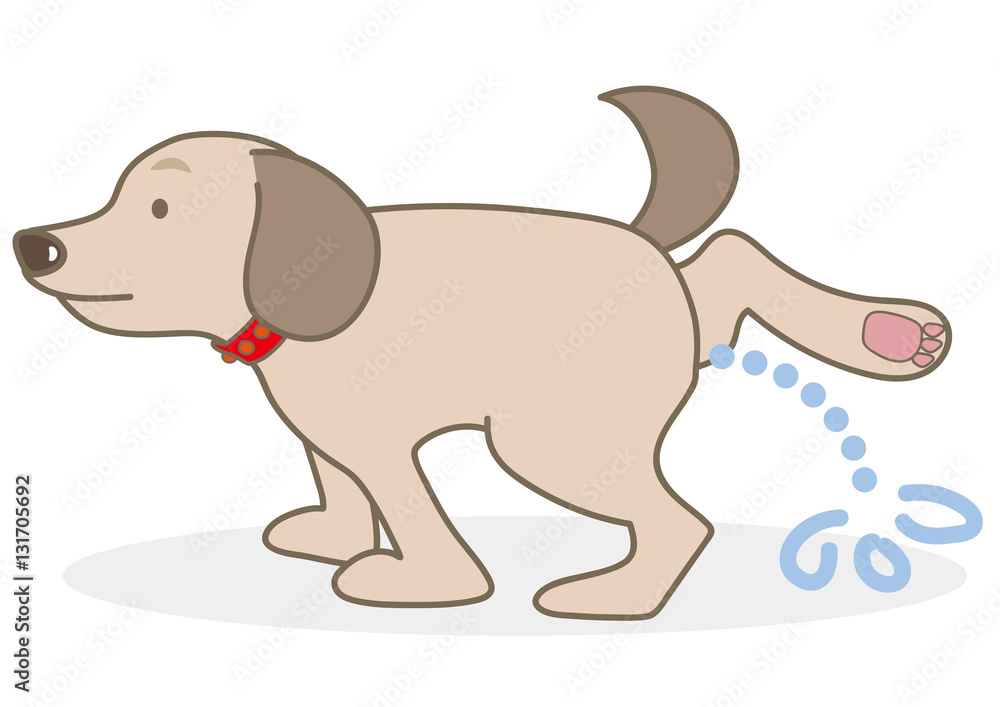 犬のおしっこ禁止 犬のおしっこ禁止