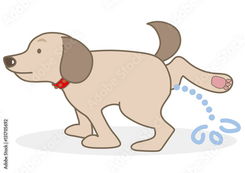 犬のおしっこ禁止