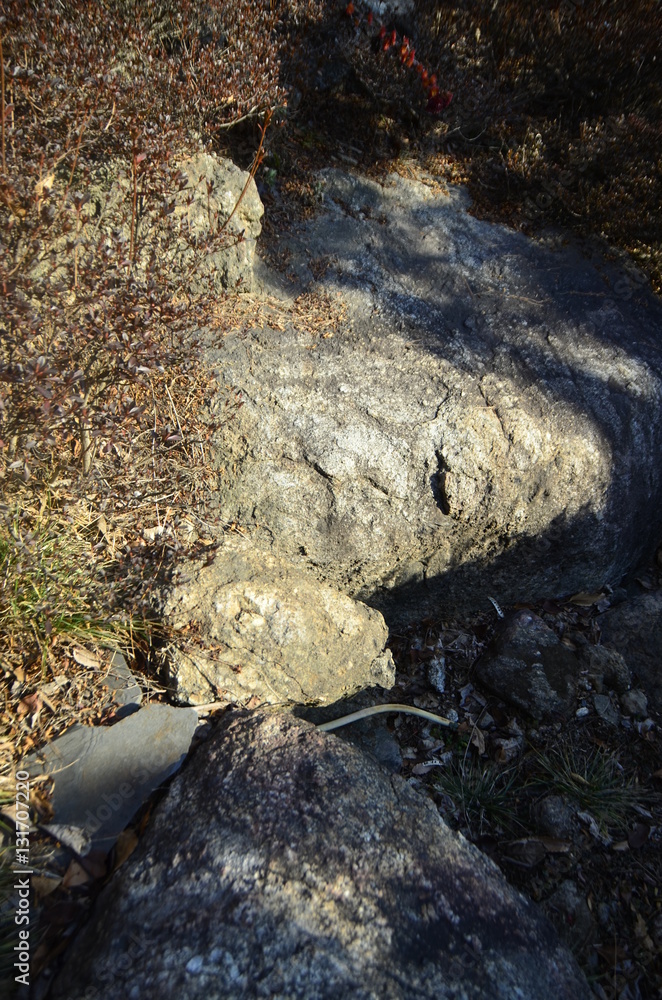 Obraz premium 자연