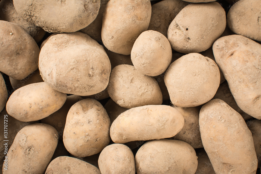 Stack of fresh potatoes straight from the ground Stack of fresh potatoes straight from the ground
