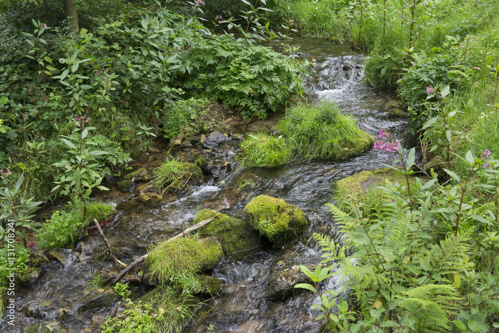 Fießender Wildbach, Bad Herrenalb, Schwarzwald, Baden-Wuerttemberg, Deutschland, Europa Fießender Wildbach, Bad Herrenalb, Schwarzwald, Baden-Wuerttemberg, Deutschland, Europa