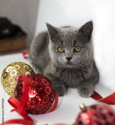 Cat playing with Christmas balls