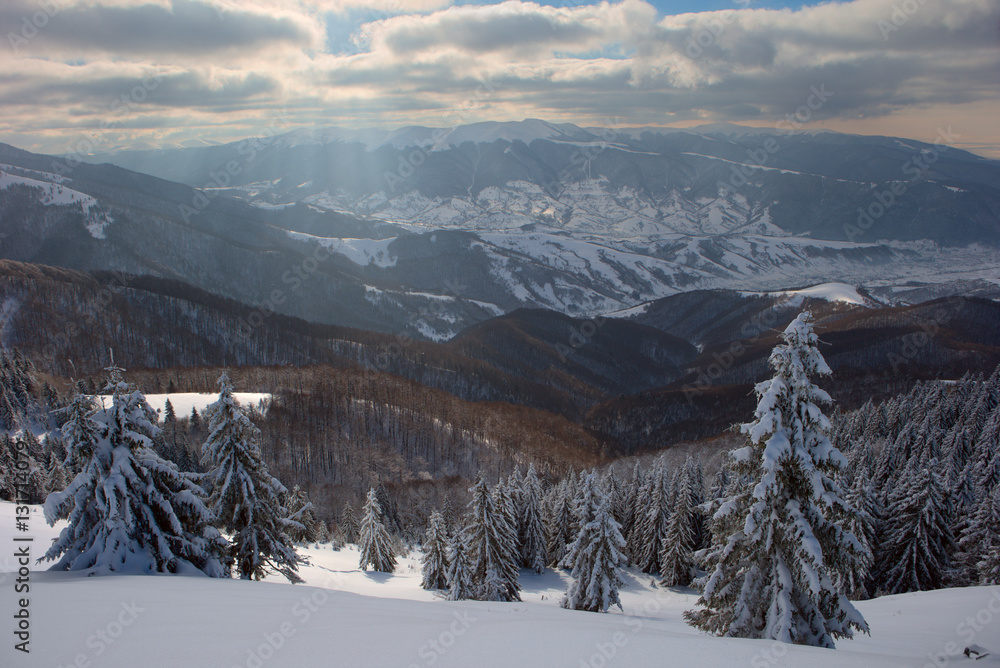 Winter in the Carpathian mountains