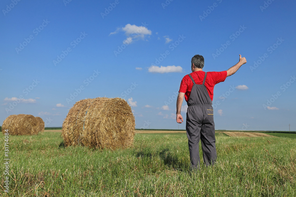Farmer in hay field with bale gesturing, thumb up Farmer in hay field with bale gesturing, thumb up