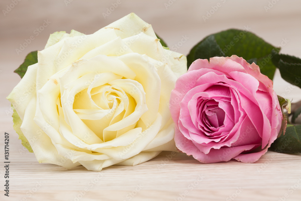 Zwei Rosen auf einem Holzhintergrund Zwei Rosen auf einem Holzhintergrund