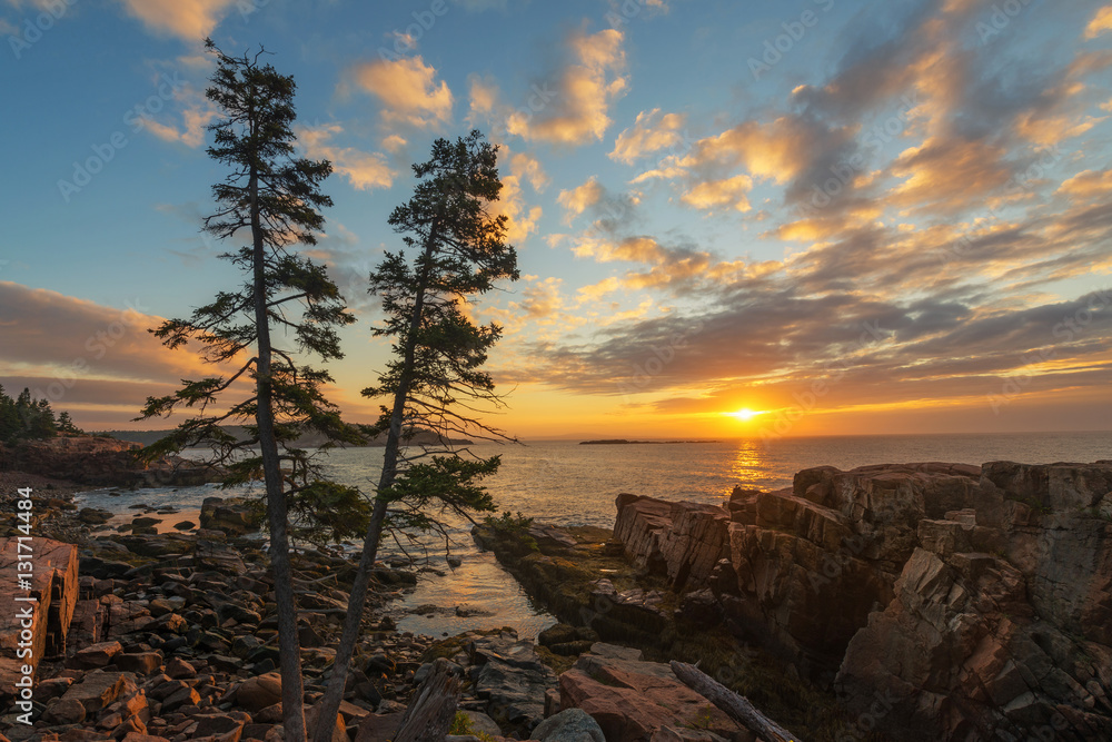Acadia National Park Coastline Sunrise 