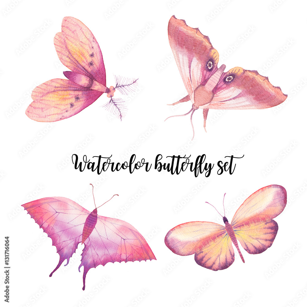 Watercolor butterfly set. Hand painted spring insect collection isolated on white background. Animal illustrations Watercolor butterfly set. Hand painted spring insect collection isolated on white background. Animal illustrations