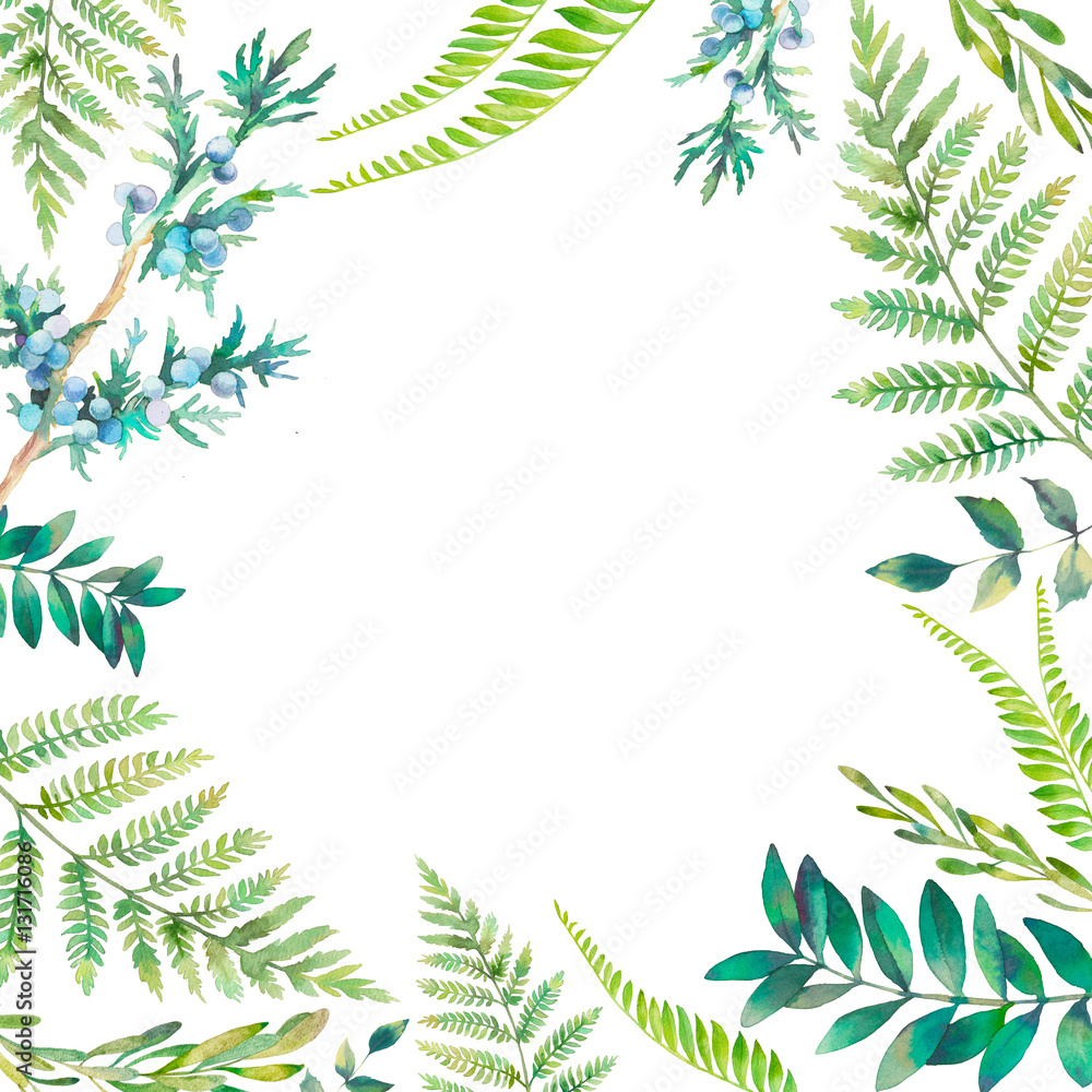 Watercolor floral frame. Hand drawn spring plants card design: botanical elements isolated on white background. Branches, fern, berries and leaves border