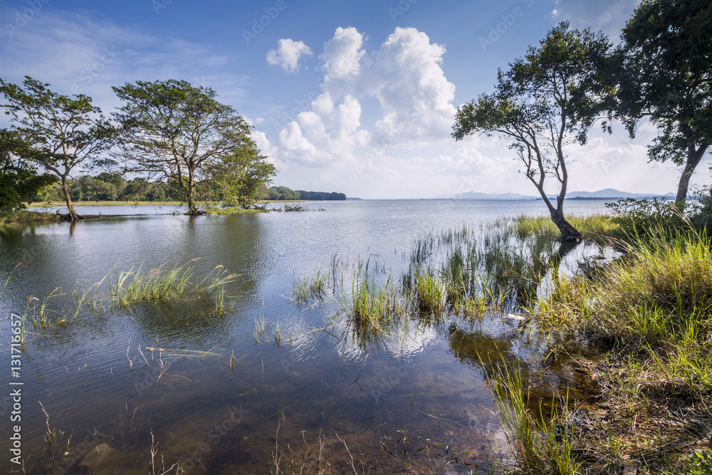 Minneriya reservoir, Sri Lanka