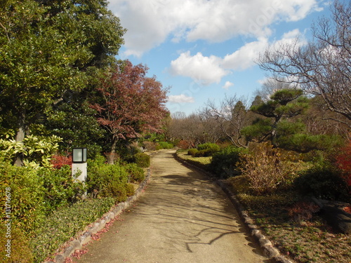 Japanese Garden at Sakai 2