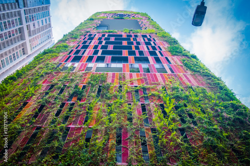Photography Skyscraper covered with creeper plants