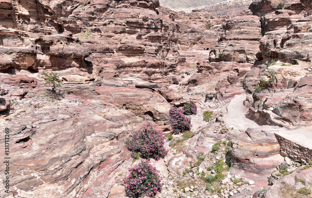 The rocky way to Monastery in Petra, Jordan