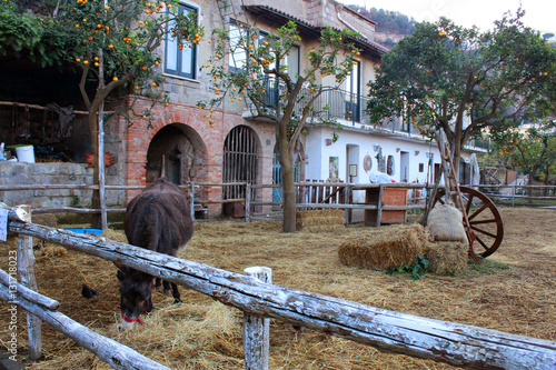 vecchia fattoria photo