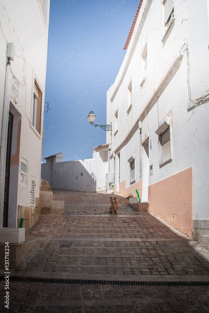 A beautiful street view in Portugal