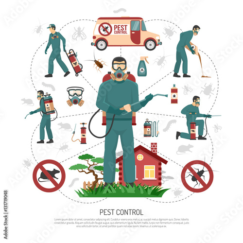 Pest Control Services Flat Infographic Poster 