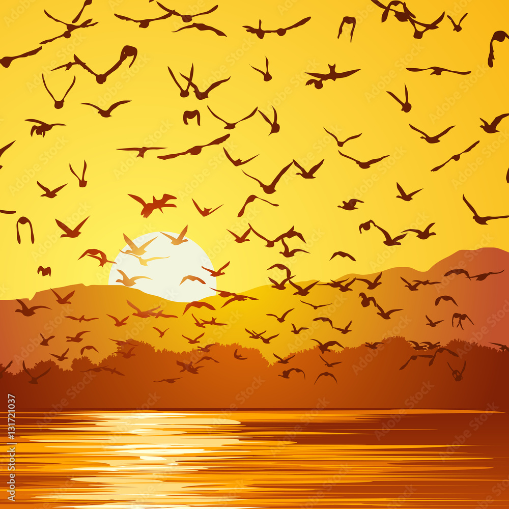 Naklejka premium Square illustration flock of birds at sunset.