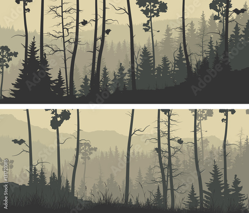 Horizontal wide banners of coniferous wood.