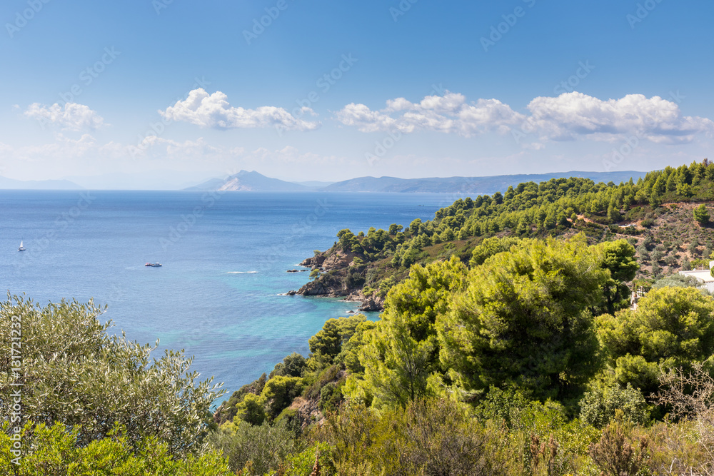 Fototapeta premium Landscape of a beautiful blue sea and the surrounded forest 