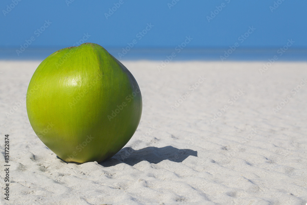 Closed coconut on a beach against the sea