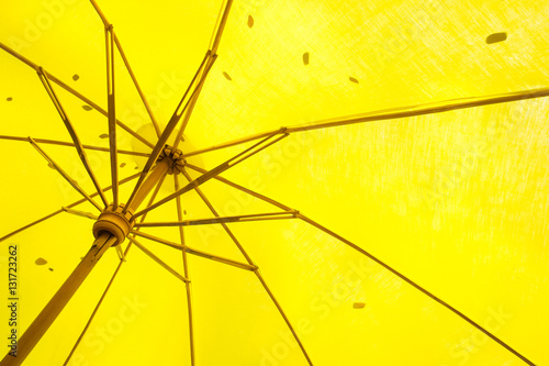 Yellow parasol background.