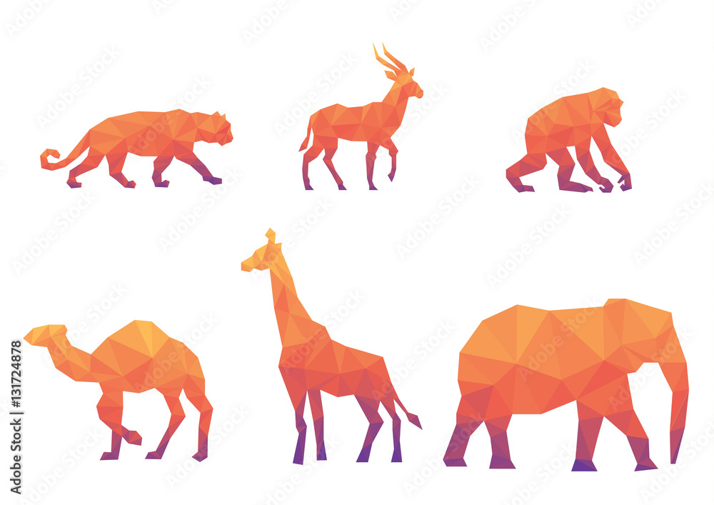 colorful animal colorful animal