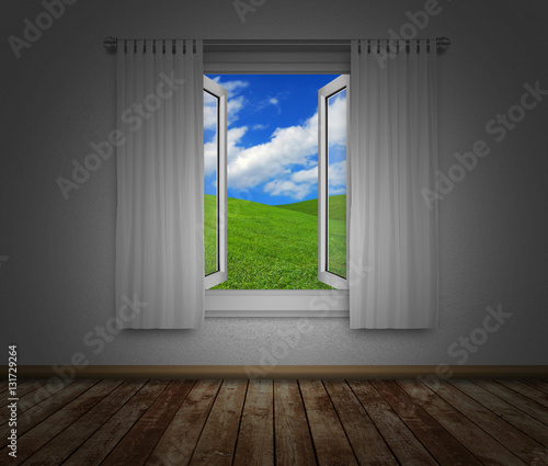 Looking Through the Window - Green Hills
