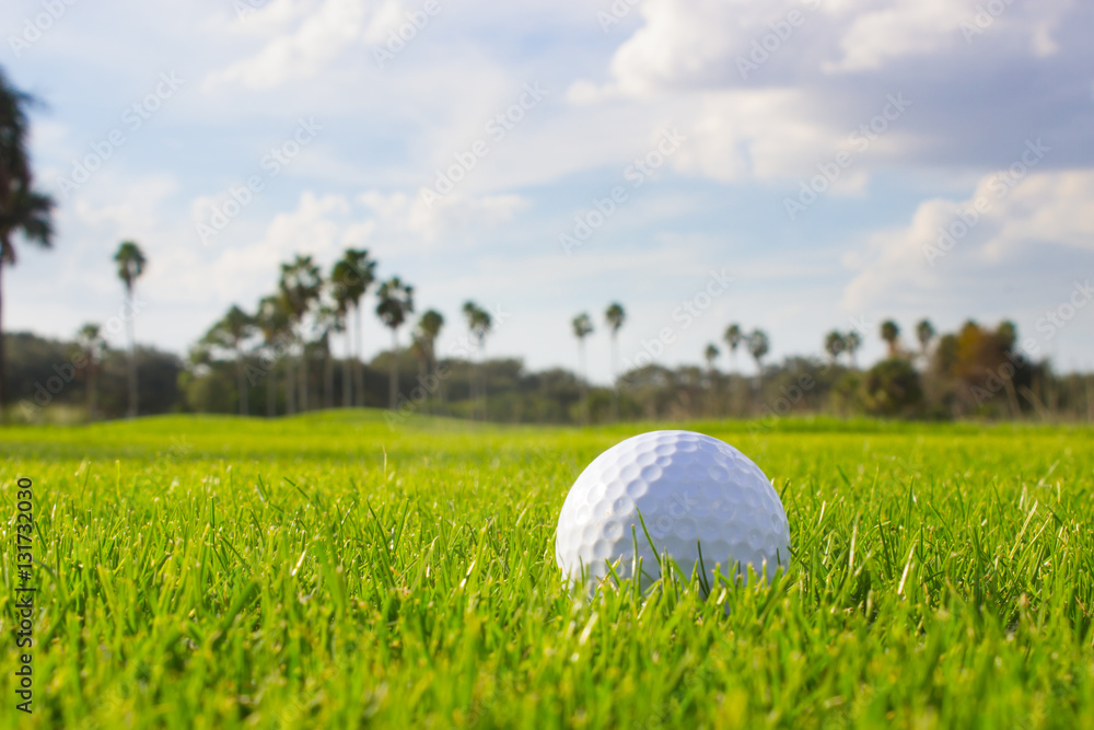 Golf Ball on Fairway