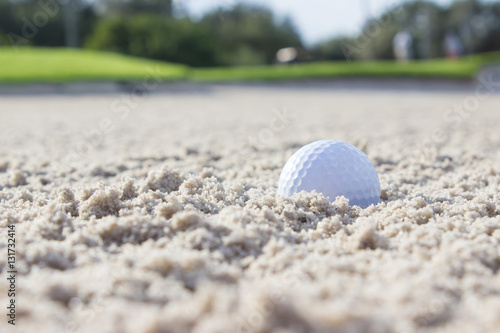 Golf Ball in Sand Trap
