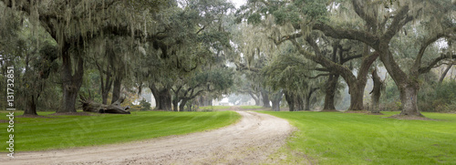 Southern plantation in the fog photo