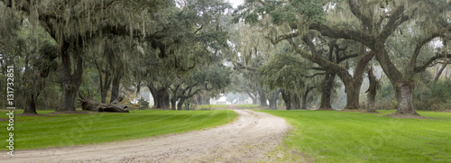 Southern plantation in the fog