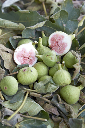 figs