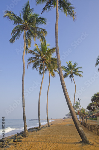 Sri lanka