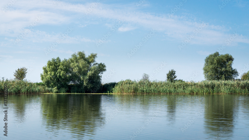 Fototapeta premium Riverbank of the Danube river with reeds and trees. Danube delta, Romania.