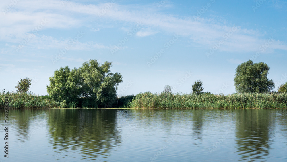 Riverbank of the Danube river with reeds and trees. Danube delta, Romania.