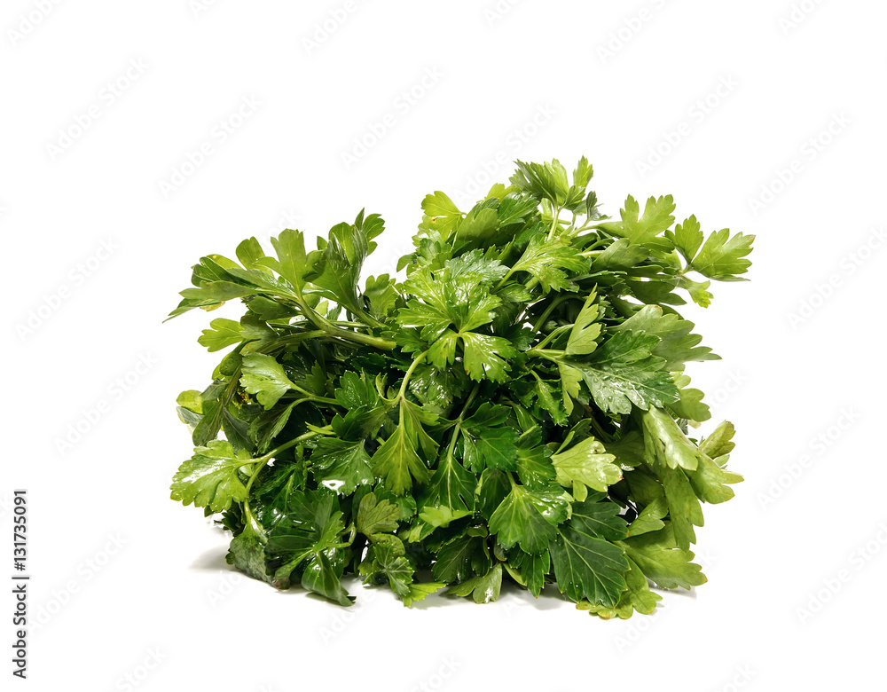 Bunch of parsley on a white background Bunch of parsley on a white background