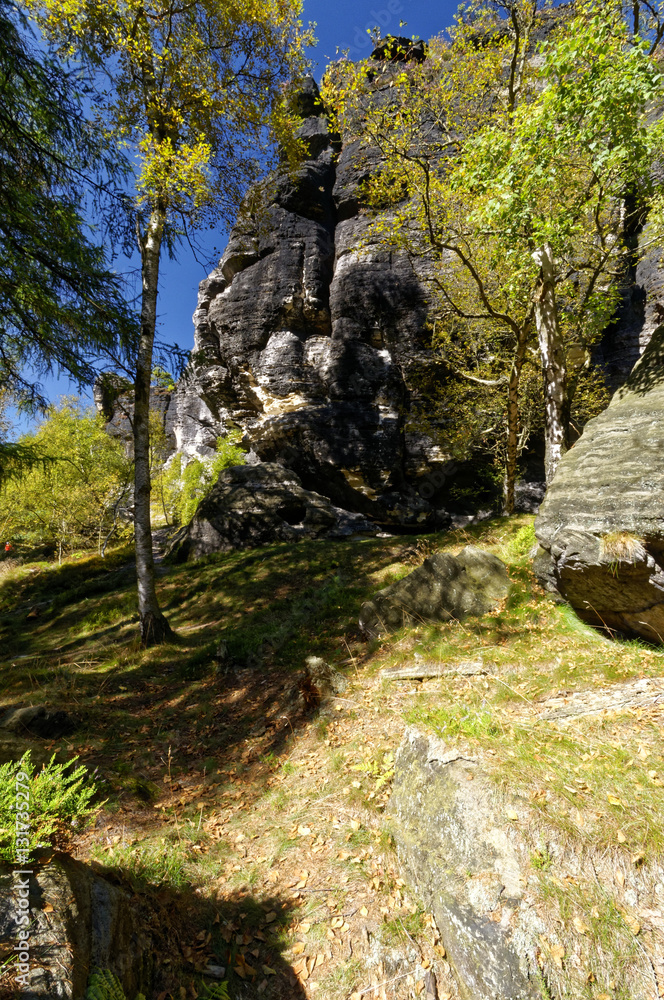 Vertical shot covering rocks and greenery Vertical shot covering rocks and greenery