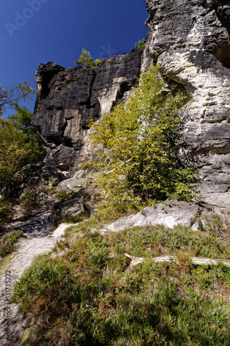 Part of a tall wall formed by rock formations