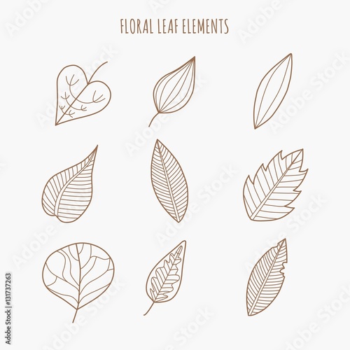 Floral Leaf Elements. Doodle leaf.