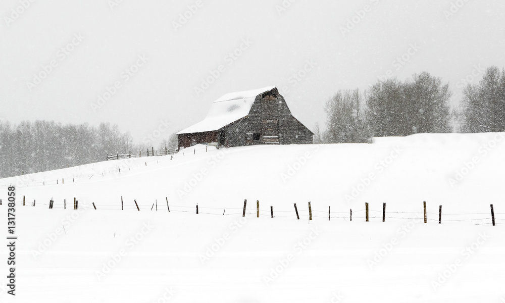 Naklejka premium Winter Barn
