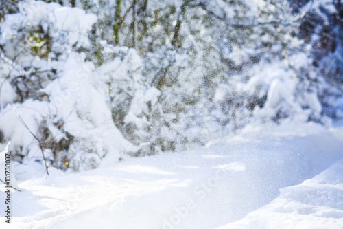 Winter landscape. © BillionPhotos.com