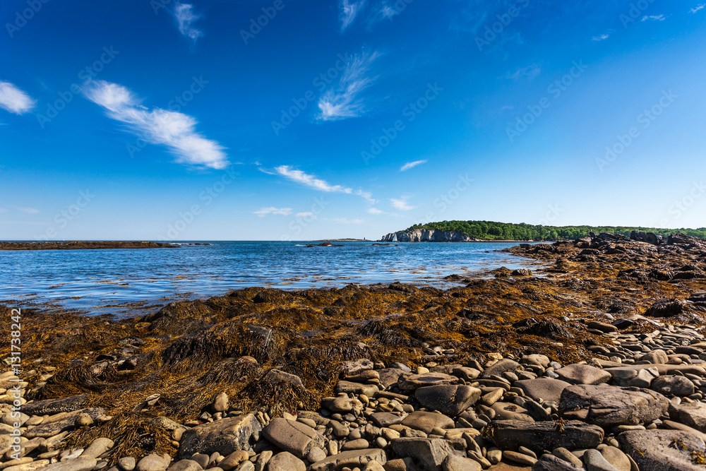 Rocky, seaweed covered beach at Ryefield Cove on Peaks Island, Casco Bay, Maine Rocky, seaweed covered beach at Ryefield Cove on Peaks Island, Casco Bay, Maine