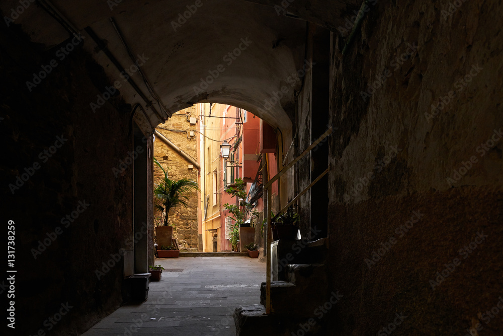 Alley Street on the center of Riomaggiore.