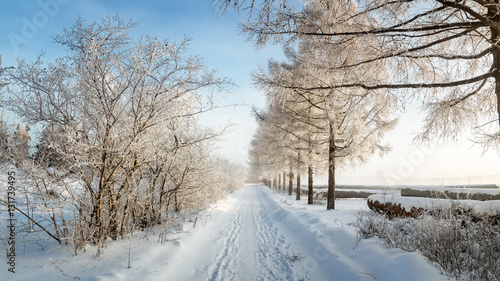 зимний пейзаж в парке с инеем на деревьях, Россия, Урал, январь © 7ynp100